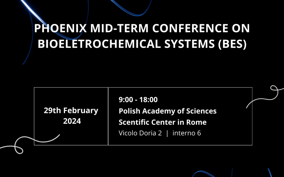 Phoenix mid-term conference on bioeletrochemical systems (BES)
